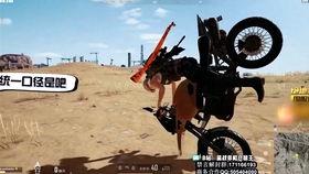 铁头娃吃瓜,揭秘娱乐圈背后的秘密与真相