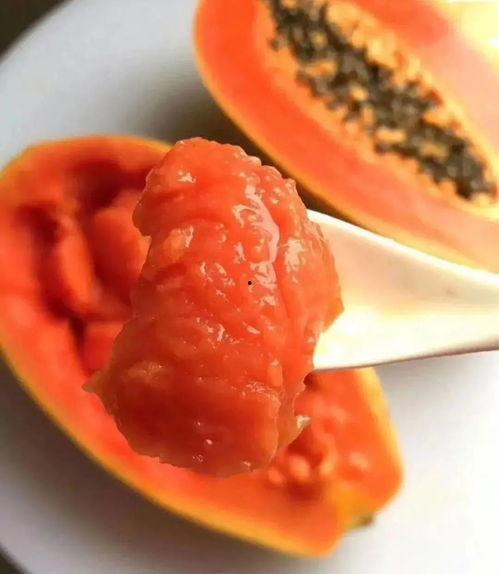 吃瓜雷州,吃瓜之旅，品味地道的雷州风味