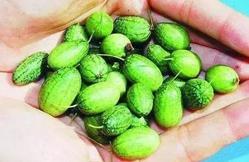 吃瓜不用吐皮,轻松吃瓜不吐皮