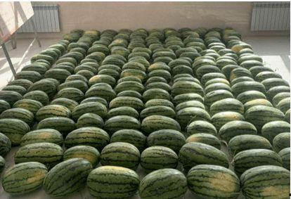 安阳吃瓜新闻,揭秘背后真相与网络舆论风暴