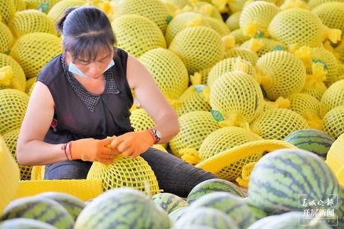 湾湾 吃瓜,揭秘娱乐圈幕后真相