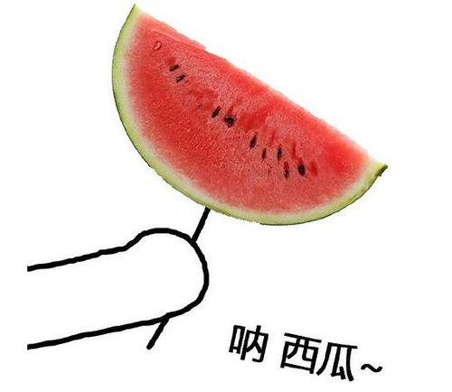 法老圈吃瓜头像,揭秘法老圈吃瓜头像背后的神秘故事