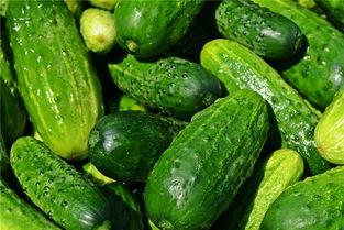 浅梦吃瓜,揭秘娱乐圈那些不为人知的幕后故事