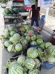 苏州丹阳吃瓜事件,一场引发热议的街头冲突