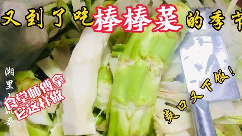 蓬莱教师吃瓜,揭秘校园里的“瓜田”趣闻