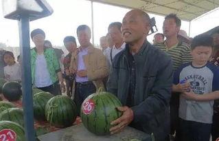 散笔乱弹吃瓜群众,吃瓜群众的视角解读社会热点