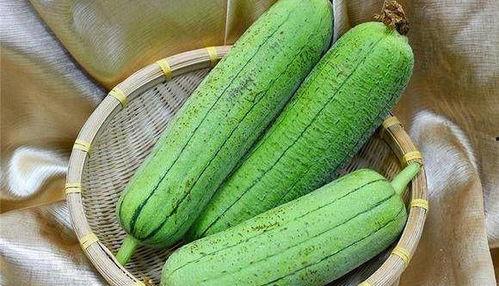 吃完水瓜可以吃石瓜吗,同属美味，食用搭配指南