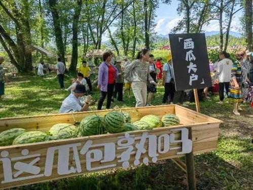 安徽黄山吃瓜,体验徽州特色瓜果文化