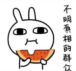 聚众吃瓜文案搞笑,一场聚众吃瓜的欢乐盛宴