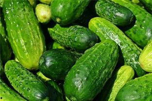 梦见自己吃京瓜