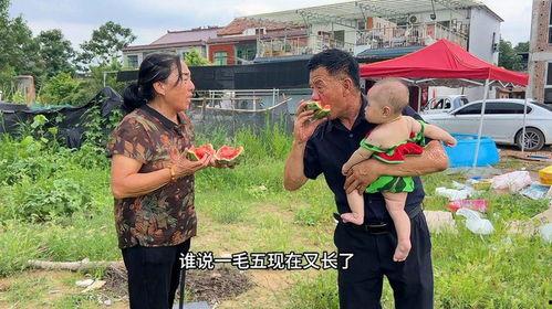 钢镚吃瓜视频,揭秘网络短视频背后的娱乐现象