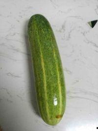 长圆形瓜怎么吃,长圆形瓜的多样食用方法探索