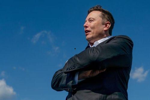 希特勒吃瓜,揭秘纳粹元首的闲适时光