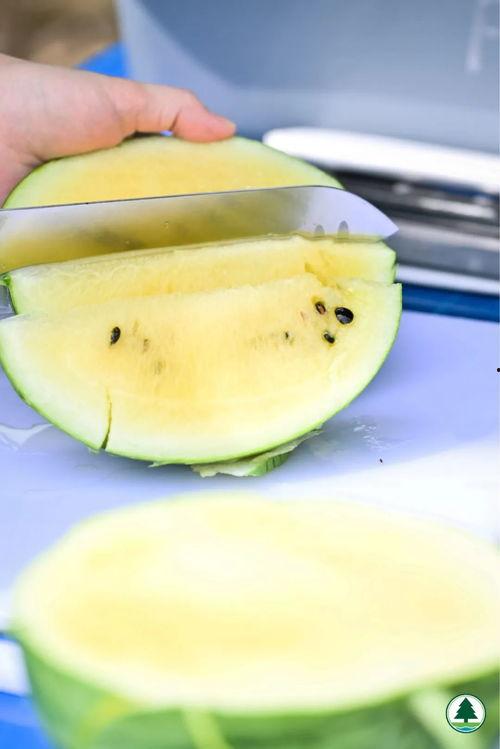 奶片吃瓜,吃出瓜界新风尚